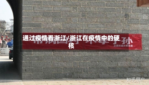 通过疫情看浙江/浙江在疫情中的硬核