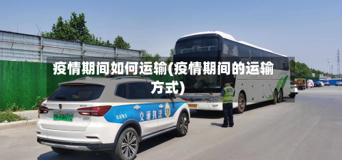 疫情期间如何运输(疫情期间的运输方式)-第2张图片