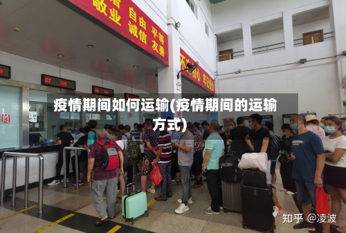 疫情期间如何运输(疫情期间的运输方式)