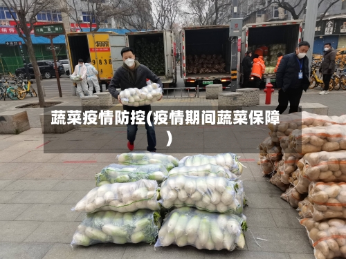 蔬菜疫情防控(疫情期间蔬菜保障)-第2张图片
