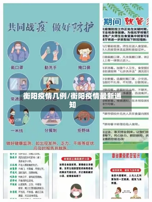 衡阳疫情几例/衡阳疫情最新通知-第2张图片