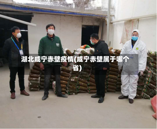 湖北咸宁赤壁疫情(咸宁赤壁属于哪个省)