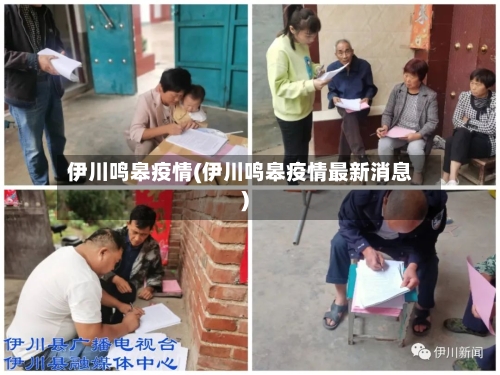 伊川鸣皋疫情(伊川鸣皋疫情最新消息)