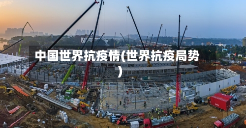中国世界抗疫情(世界抗疫局势)-第3张图片