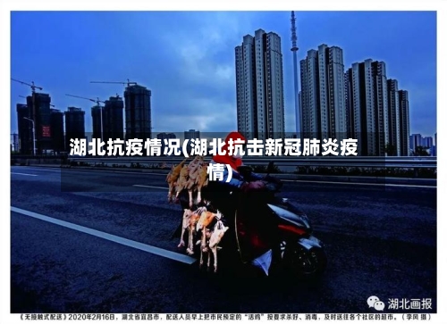 湖北抗疫情况(湖北抗击新冠肺炎疫情)