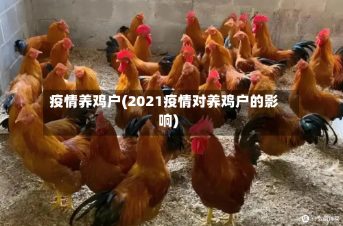 疫情养鸡户(2021疫情对养鸡户的影响)
