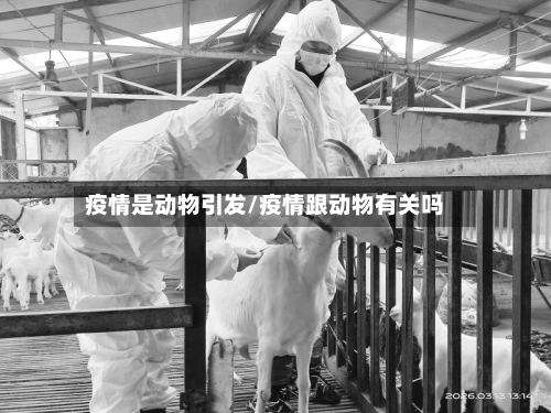 疫情是动物引发/疫情跟动物有关吗-第2张图片