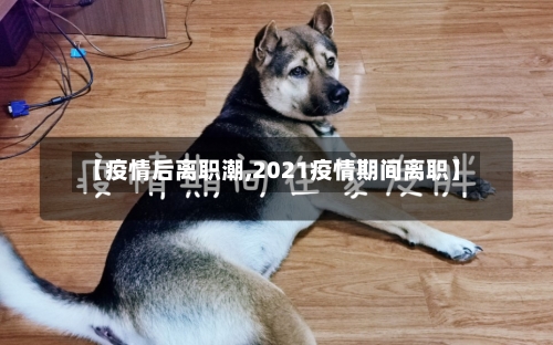 【疫情后离职潮,2021疫情期间离职】-第2张图片