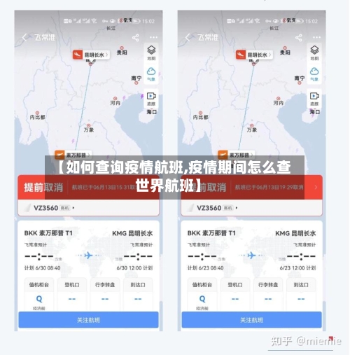 【如何查询疫情航班,疫情期间怎么查世界航班】