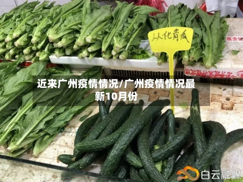 近来广州疫情情况/广州疫情情况最新10月份-第3张图片