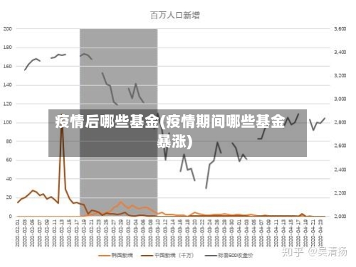 疫情后哪些基金(疫情期间哪些基金暴涨)-第2张图片
