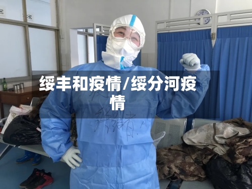 绥丰和疫情/绥分河疫情