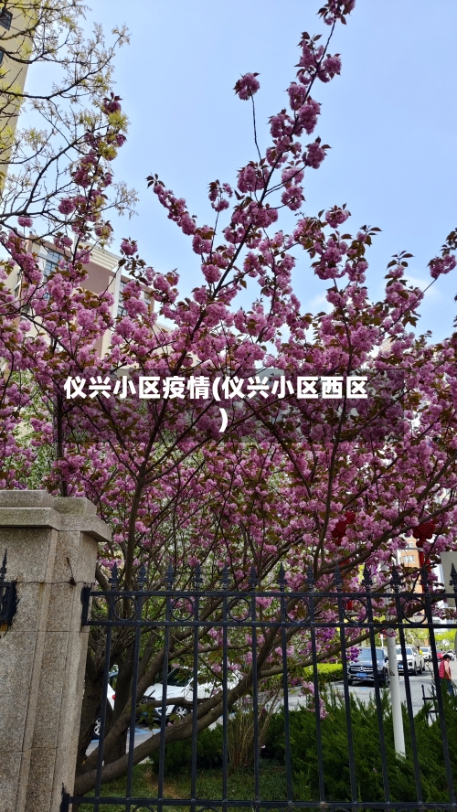 仪兴小区疫情(仪兴小区西区)