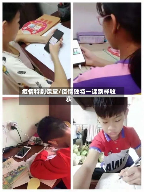 疫情特别课堂/疫情独特一课别样收获-第2张图片