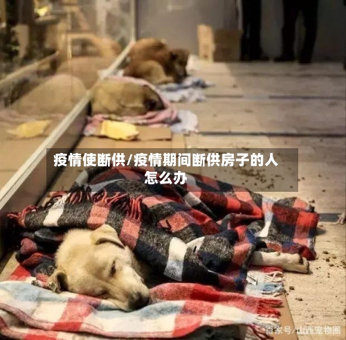 疫情使断供/疫情期间断供房子的人怎么办