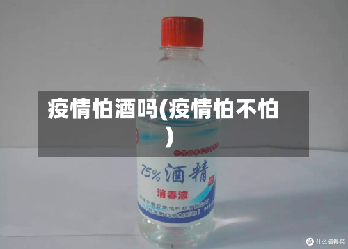 疫情怕酒吗(疫情怕不怕)
