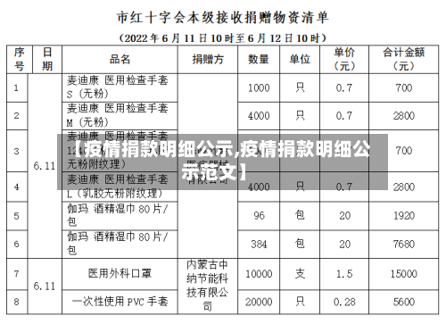 【疫情捐款明细公示,疫情捐款明细公示范文】