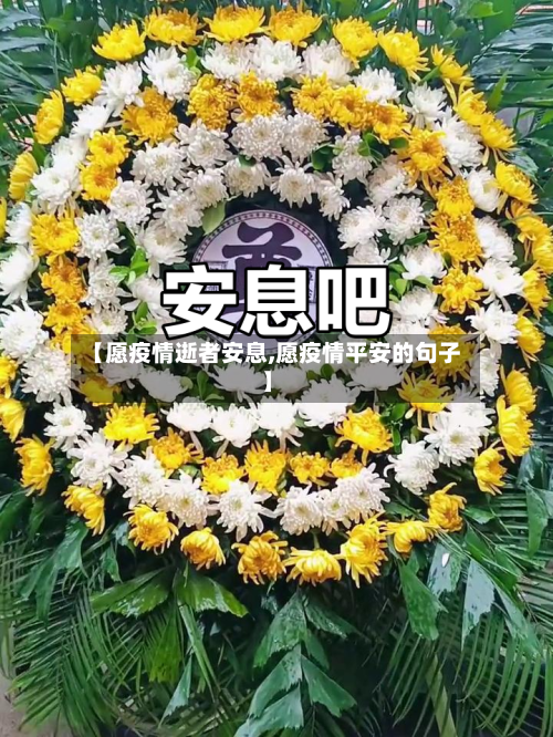 【愿疫情逝者安息,愿疫情平安的句子】-第2张图片