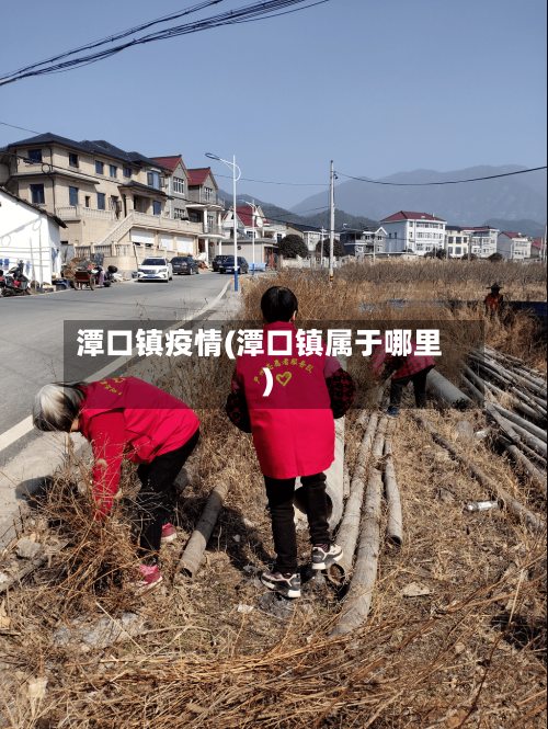 潭口镇疫情(潭口镇属于哪里)-第2张图片