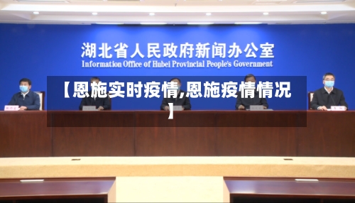 【恩施实时疫情,恩施疫情情况】-第3张图片