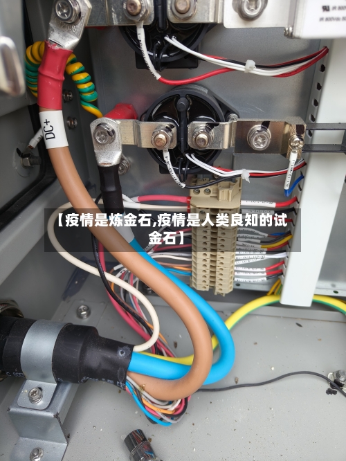 【疫情是炼金石,疫情是人类良知的试金石】