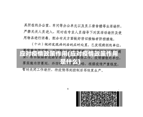 应对疫情政策作用(应对疫情政策作用是什么)-第2张图片