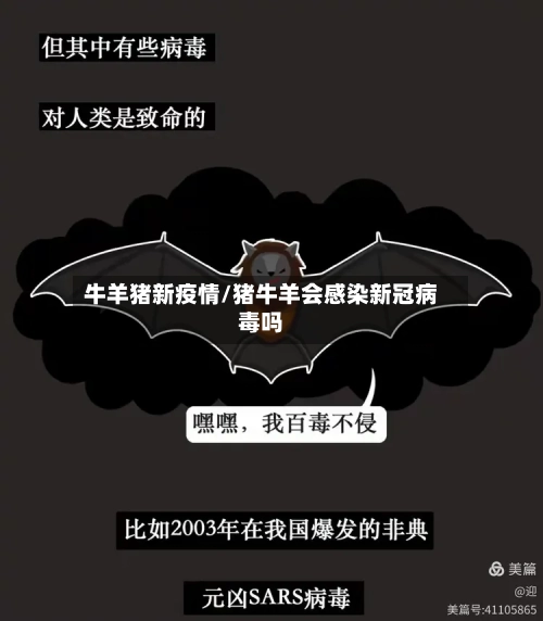 牛羊猪新疫情/猪牛羊会感染新冠病毒吗