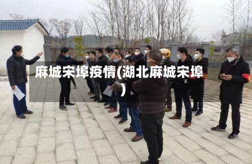 麻城宋埠疫情(湖北麻城宋埠)-第3张图片