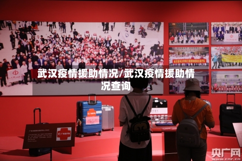 武汉疫情援助情况/武汉疫情援助情况查询-第2张图片