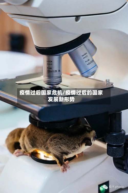 疫情过后国家危机/疫情过后的国家发展新形势