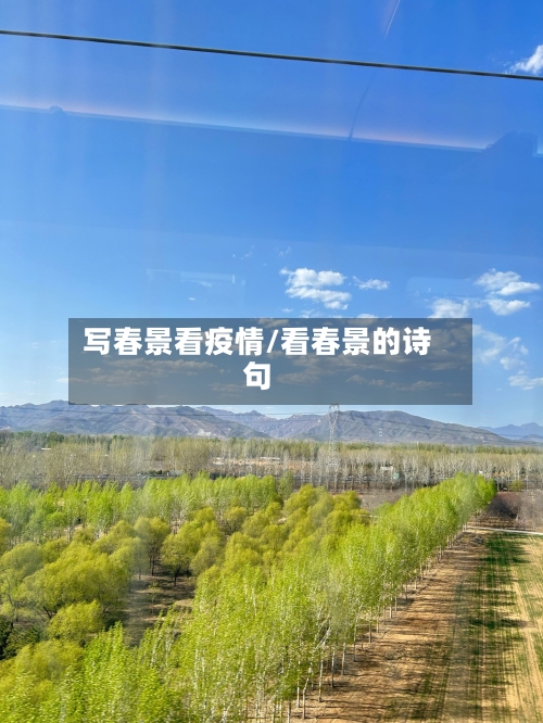 写春景看疫情/看春景的诗句