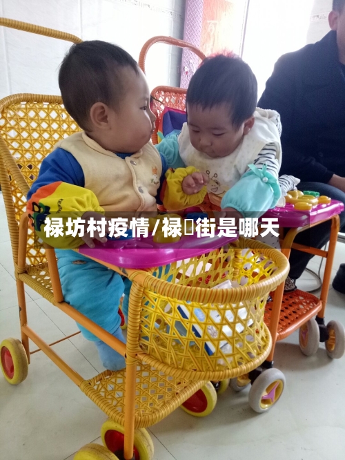 禄坊村疫情/禄脿街是哪天