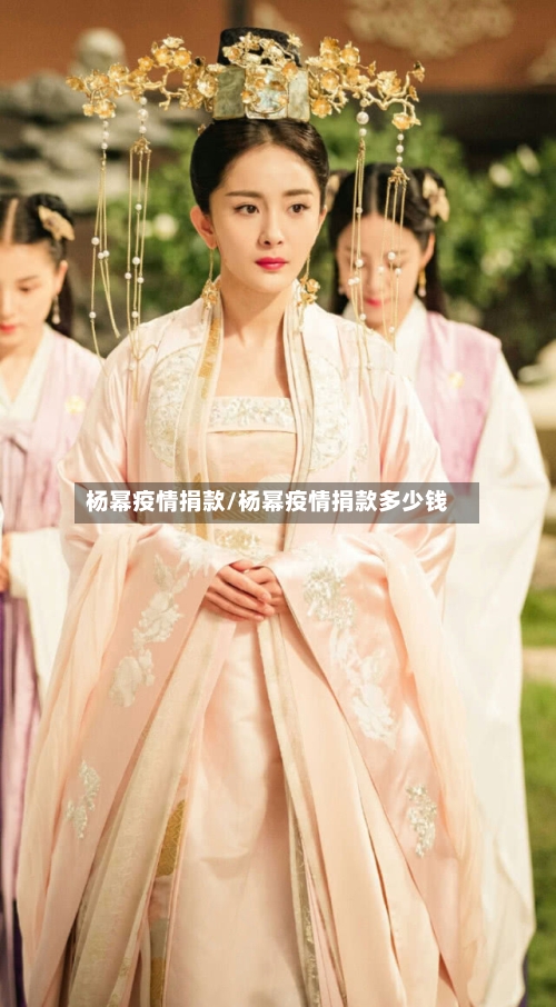 杨幂疫情捐款/杨幂疫情捐款多少钱