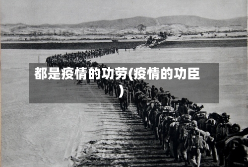 都是疫情的功劳(疫情的功臣)
