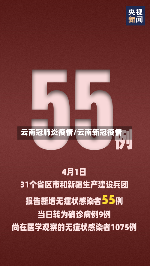 云南冠肺炎疫情/云南新冠疫情