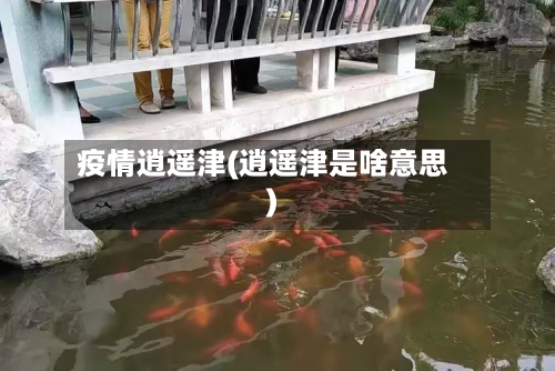 疫情逍遥津(逍遥津是啥意思)-第2张图片