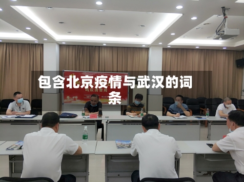 包含北京疫情与武汉的词条