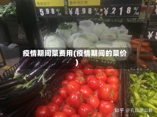 疫情期间菜费用(疫情期间的菜价)-第2张图片