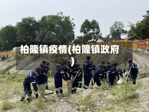 柏隆镇疫情(柏隆镇政府)-第2张图片
