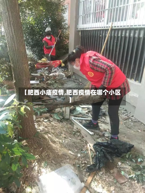 【肥西小庙疫情,肥西疫情在哪个小区】