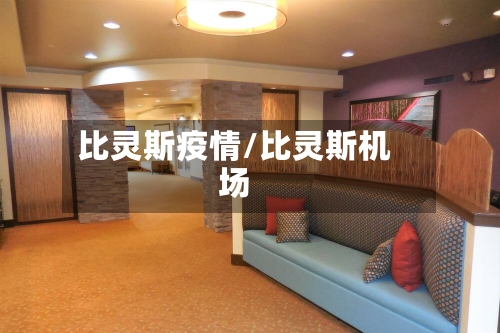 比灵斯疫情/比灵斯机场-第2张图片
