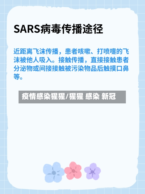 疫情感染猩猩/猩猩 感染 新冠-第2张图片