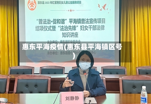 惠东平海疫情(惠东县平海镇区号)-第2张图片