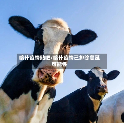 喀什疫情贴吧/喀什疫情已排除蔓延可能性-第2张图片