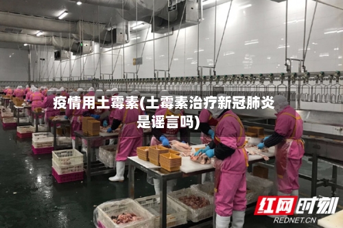 疫情用土霉素(土霉素治疗新冠肺炎是谣言吗)-第2张图片