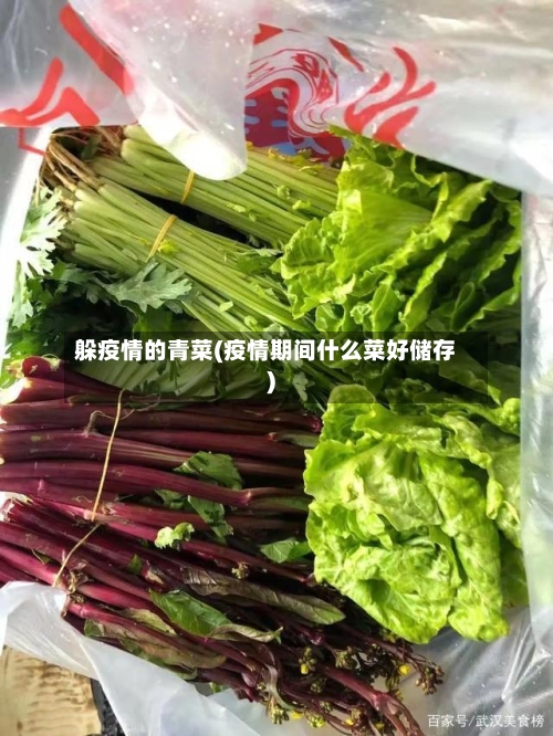 躲疫情的青菜(疫情期间什么菜好储存)