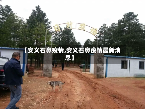 【安义石鼻疫情,安义石鼻疫情最新消息】-第2张图片
