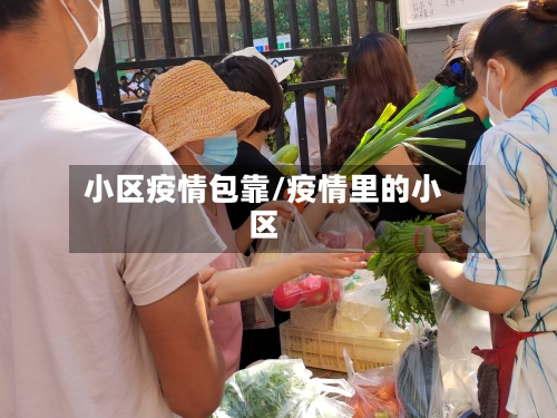 小区疫情包靠/疫情里的小区-第2张图片