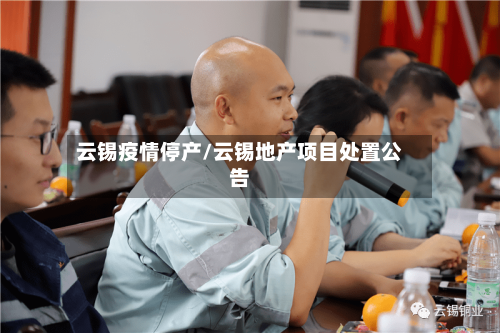 云锡疫情停产/云锡地产项目处置公告