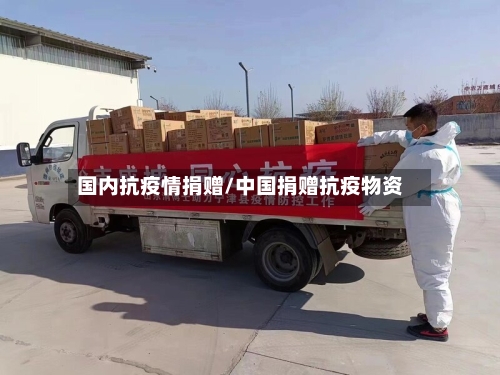 国内抗疫情捐赠/中国捐赠抗疫物资